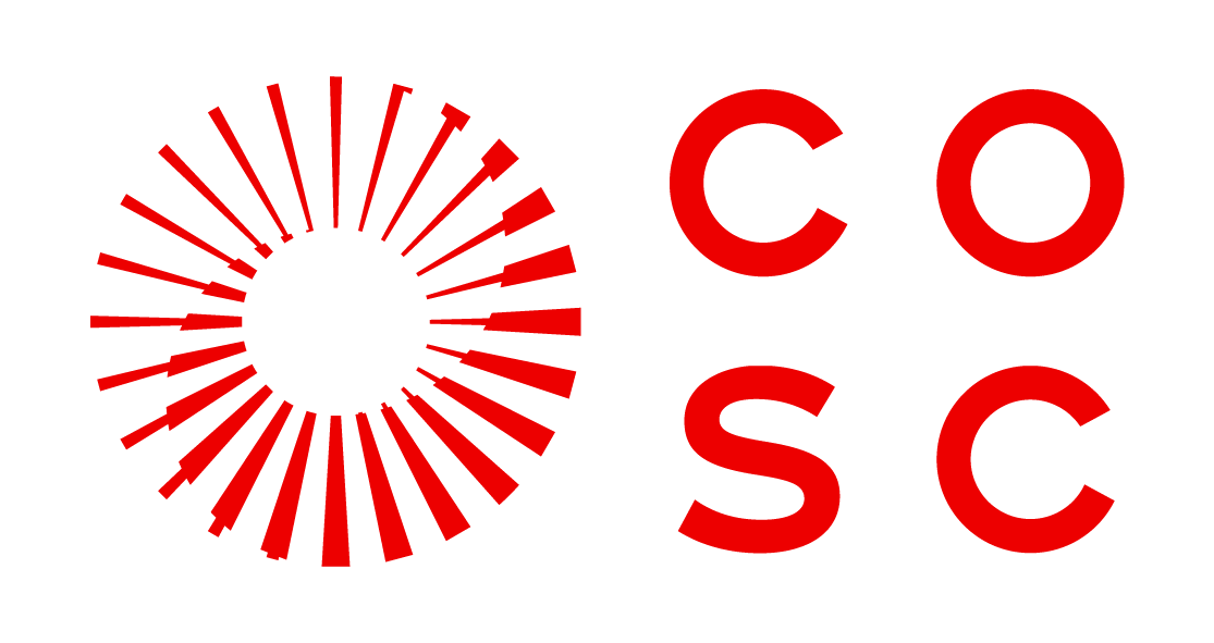Sylvain Broillet - COSC
